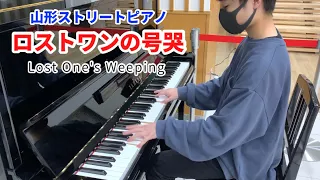 【ストリートピアノ】「ロストワンの号哭」を弾いてみた byいにし Japanese Street Piano Performance. "Lost One's Weeping"