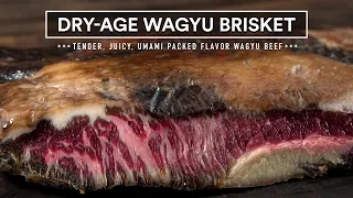 I Dry Aged a WAGYU BRISKET and it blew my mind!