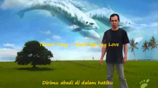 Teresa Teng - Good bey my love versi ind karaoke