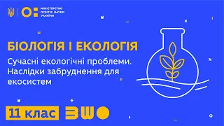 11 клас. Біологія і екологія. Сучасні екологічні проблеми. Наслідки забруднення для екосистем