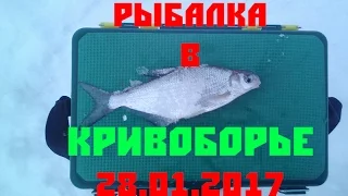 Рыбалка в Кривоборье 28 01 2017г