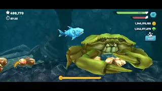 ice shark 🐬gameplay🐳