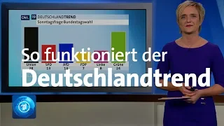 Sonntagsfrage & Co: So funktioniert der Deutschlandtrend