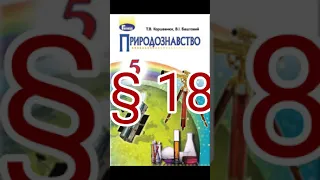 § 18  "Сонячна система" //5 клас Природознавство//Коршевнюк