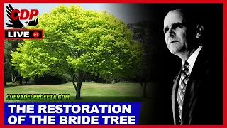 The Restoration Of The Bride Tree | William Branham