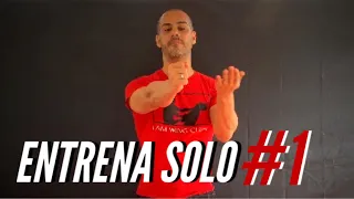 ENTRENA WING CHUN SOLO PT1