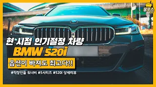 [520i-REVIEW] 22년 현시점 인기절정의 BMW 520i MSP 상세리뷰