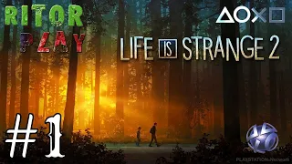 Life is strange 2: Эпизод 1 🔥Часть 1👌Прохождение на русском #RitorPlay