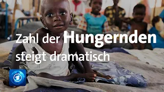 UN: Weltweiter Hunger durch Corona und Kriege gestiegen