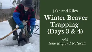 Winter Beaver Trapping through the Ice! Days 3 & 4 of the snowmobile trapline.