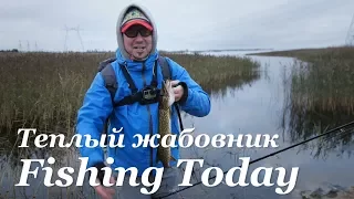 Ловля щуки на теплых жабовниках - Fishing Today