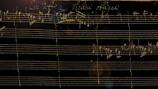 VIVALDI | Concerto per 2 Violini obligati | RV 517 in G minor | Original manuscript