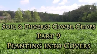 Soil & Diverse Cover Crops Part 9 Planting into Covers