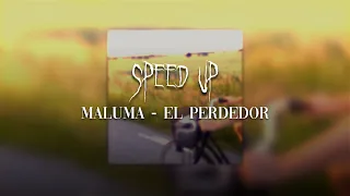 MALUMA - EL PERDEDOR | SPEED UP