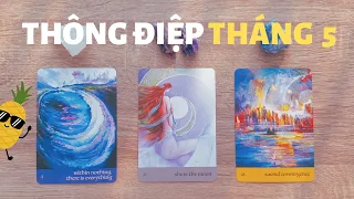 Thông điệp tháng 5🐖🐏🐑 | Chọn tụ bài Tarot