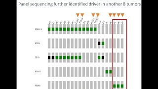 NGS Target Enrichment Solutions to Drive Discovery in Precision Medicine Research