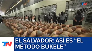 TN en El Salvador: así funciona el polémico método de Bukele contra la delincuencia