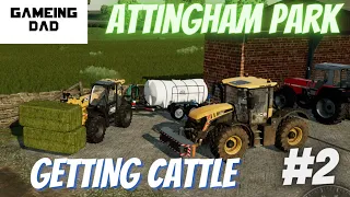 GETTING CATTLE! #fs22 #attinghampark #youtube #gameingdad #jcb #youtube #masseyferguson #animals