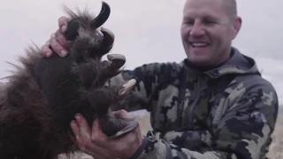 The Footsteps of Giants - Alaskan Peninsula Brown Bear Hunt