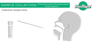 How To Use The Panodyne COVID 19 Antigen Rapid Test Kit