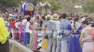 HOMBRE ARROLLADO POR UNA CARRETA DE BUEYES EN LA ROMERÍA DE EL VISO DEL ALCOR, SEVILLA