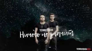 Те100стерон - Ничего не значит (Lyric Video)