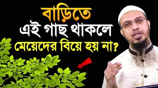 বাড়িতে কি গাছ থাকলে মেয়েদের বিয়ে হয় না? শায়খ আহমাদুল্লাহ