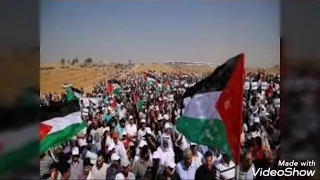 La liberté  pour Palestine
