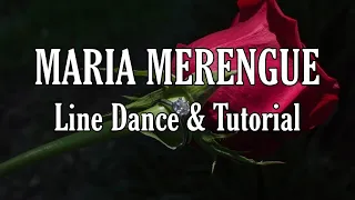 MARIA MERENGUE - Line Dance (Dance & Tutorial)