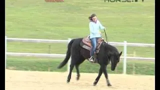 Reining - Tutorial con Elisa