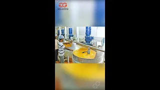 300kg/h Small Scale Mango Pulp Processing line Business