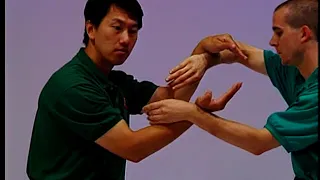 Wing Chun Chi Sau 3 - Running Hands