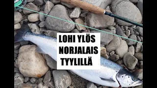 LOHEN PERHOKALASTUSTA NORJAN REPPARFJORDELVALLA #kalastus #lohi #perhokalastus #lohenkalastus