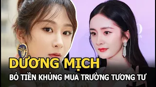 Dương Mịch bỏ tiền khủng để mua Trường Tương Tư nhưng Dương Tử lại đóng chính, lý do là gì?