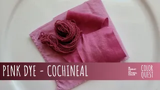 HOW TO MAKE PINK DYE WITH COCHINEAL | ORGANIC COLOR | WOOL SILK COTTON | RAINBOW PALETTE