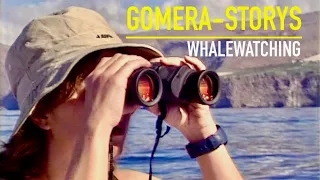 Tipps zum Whale Watching auf Teneriffa und La Gomera