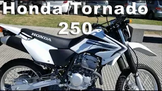 Review Honda Tornado 250 (Review Viejo, buscar RENOVADO)