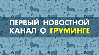 350 000р. на открытие груминг салона/ Новости из мира груминга. Выпуск 1