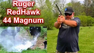 Ruger RedHawk 44 Magnum with a 7.5” Barrel - First Range Day