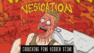 Vesication - Crouching Pink Hidden Stink (Horror Pain Gore Death Productions)