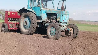 Посів сої 2024р.                                                          🚜Трактор Т-40 Ам