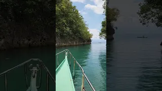 Relaxing View of Bojo River, Aloguinsan ,Cebu