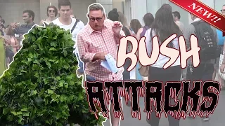 The BUSH IS ALIVE PRANK FUNNY VIDEO Bushman S05E46