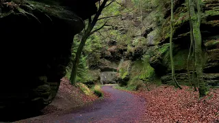 Abenteuer im Teufelsgrund | Exploring Malerweg, Sächsische Schweiz, Elbsandsteingebirge