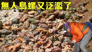 [Collection of Fierce Goods] I didn't go to the unpopulated island for a few days. Crabs and conch