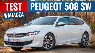 Peugeot 508 SW 2021 - TEST PL (1.5 Blue HDi 130 KM) Ten lew powinien być pod ochroną