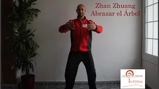 Zhan Zhuang Qigong - Abrazar el Árbol