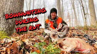 Bowhunting Whitetail Bucks During The Rut -- NC Mountain Buck Goes DOWN!