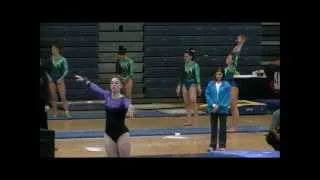 Kaitlynn Hedelund - 2013 Virginia Level 10 State Championships Vault