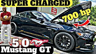 Mustang GT SUPERCHARGED - IS A VERY AFFORDABLE 700HP MUSCLE CAR.